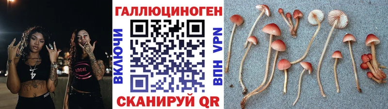 Псилоцибиновые грибы MAGIC MUSHROOMS  где купить наркотик  Вышний Волочёк 